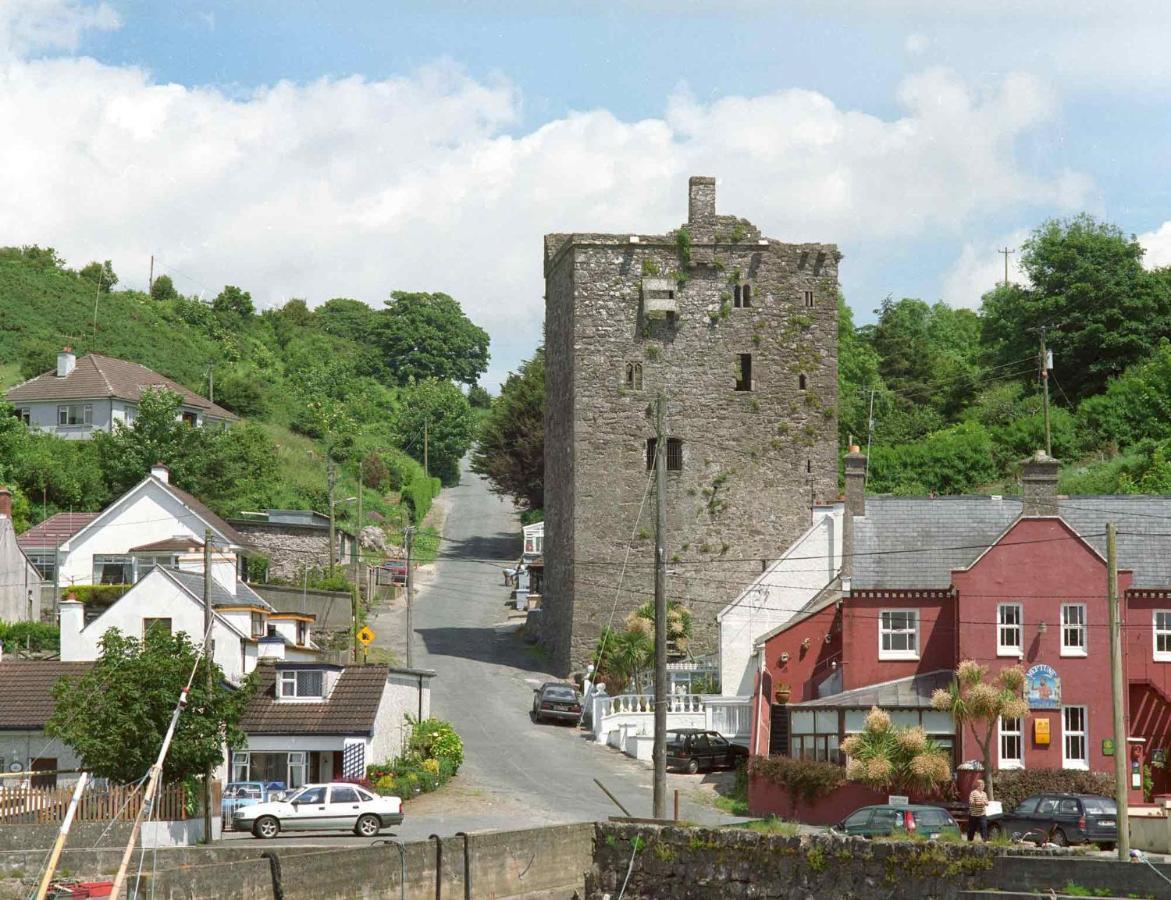 Ballyhack By The Sea Arthurstown Zewnętrze zdjęcie